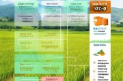 早稻推广补贴申请全攻略，流程、条件与注意事项