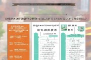 深圳异地老人补贴申请指南，政策解读与办理流程详解