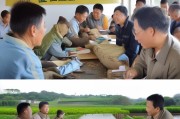 泄洪粮食补贴申请，政策护航，灾后粮食生产恢复的坚实保障