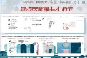 天津车牌申请全流程指南，从准备到领取的详细步骤