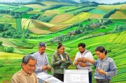 农村耕地改造补贴申请指南，政策红利赋能农田提质增效