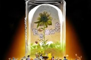 公积金被封存！如何让这笔沉默的花朵重新绽放？