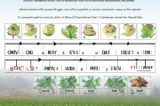 黄精种植补贴申请全攻略，从政策解读到实操步骤