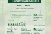 深圳树葬补贴申请全攻略，条件、流程、材料一文读懂