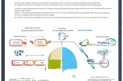 流量获客费用怎么算？一文看懂成本构成与优化策略