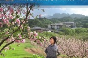 扎根乡土育桃李，砥砺奋进申补贴——优秀乡村教师补贴申请指南与实践