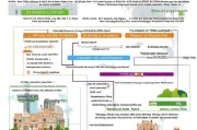 全面解析，UC（加州大学）申请流程指南