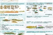 海南水产补贴申请全指南，政策解读、流程与材料清单