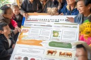 新疆畜牧良种补贴申请指南，政策解读、流程与实效