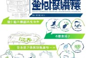 深圳大学生补贴申请全攻略，政策解读、申请流程与注意事项