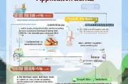 湄潭高龄补贴申请指南，条件、流程与注意事项详解