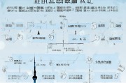 上海券商补贴申请全攻略，条件、流程、注意事项详解