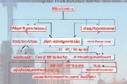 新昌购房补贴申请全攻略，条件、流程、材料及注意事项