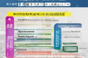 黄冈人才补贴申请全攻略，条件、流程、材料及注意事项
