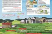 湖北随州农业补贴申请指南，政策解读、流程详解与实用建议